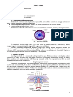 Tema 2. Nucleul