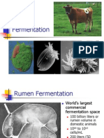 Rumen Fermentation Power Point Presentation