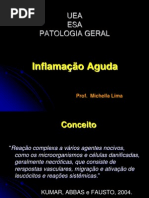 INFLAMAÇÃO AGUDA resumida(3)