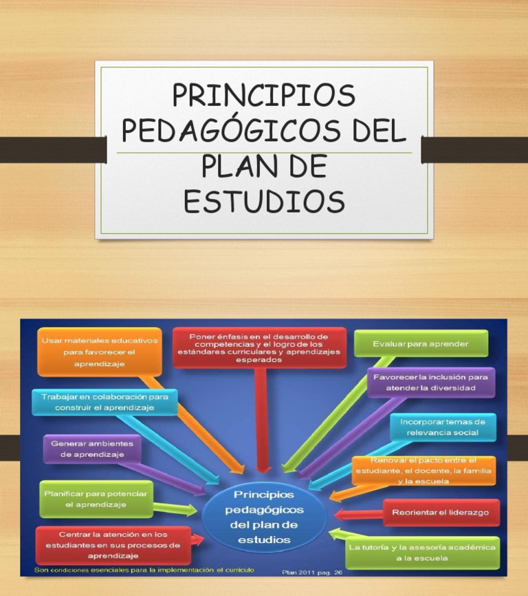 Principios Pedagógicos Del Plan de Estudios | PDF
