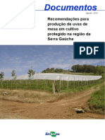Recomendações para Produção de Uvas de Mesa em Cultivo Protegido Na Região Da Serra Gaúcha
