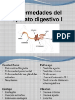 Clase Digestivo I