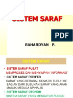 1.SARAFPERIFER