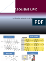 Metabolisme Lipid [Recovered]