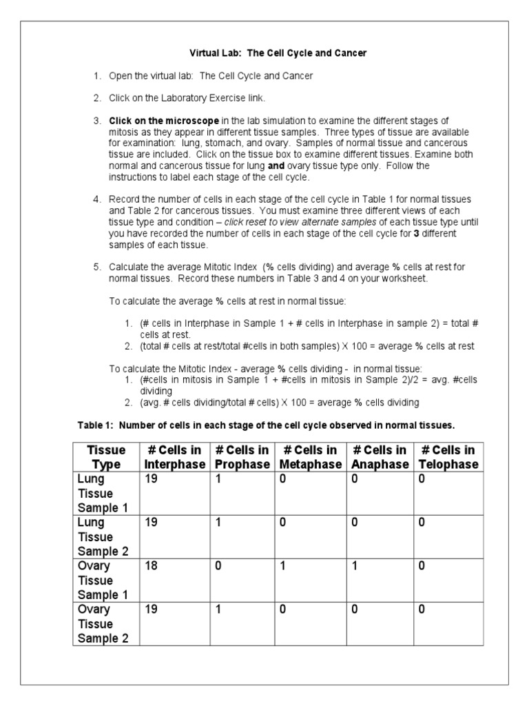 07 Cell Cycle Virtual Lab Handout Solutions Mitosis Ovarian Cancer