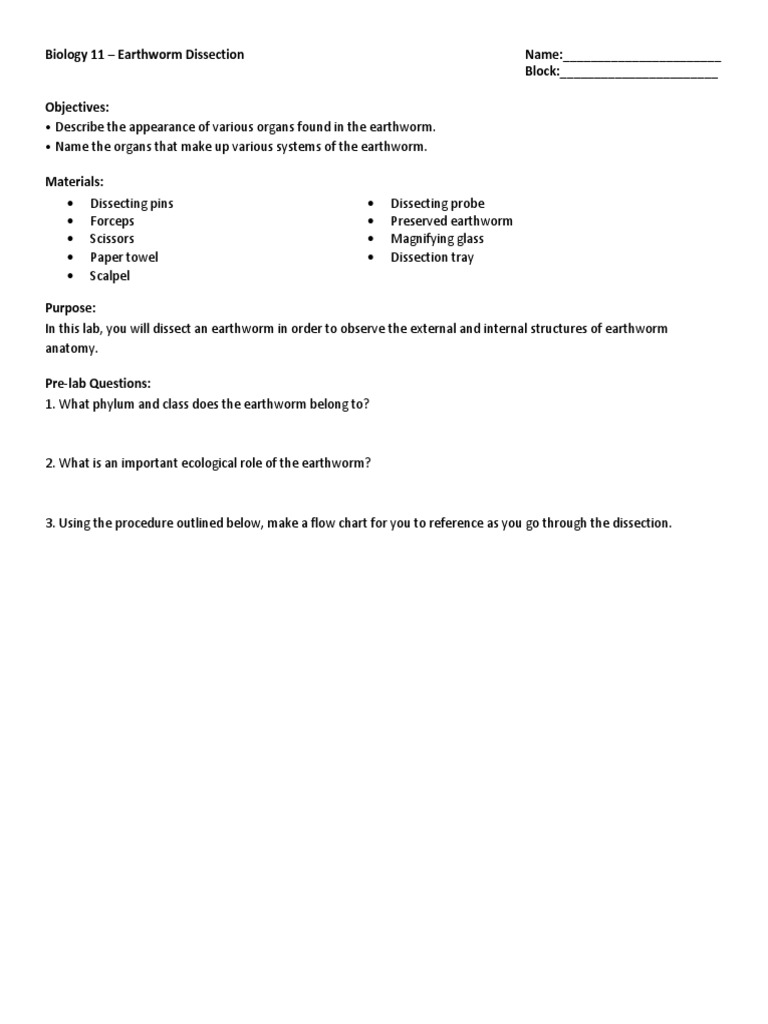 Earthworm Dissection Handout Anatomy Animal Anatomy