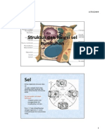 Struktur Dan Fungsi Sel Tumbuhan