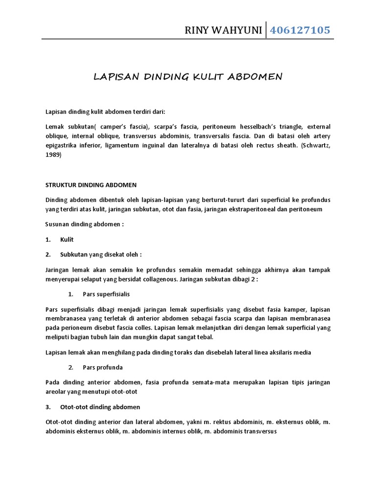 Lapisan Dinding Abdomen