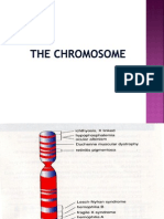 Fbs 4 9-Chromosome Aberration