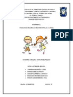 Representación de Las Principales Categorías Explicativas Del Desarrollo Humano en La Infancia y Adolescencia.