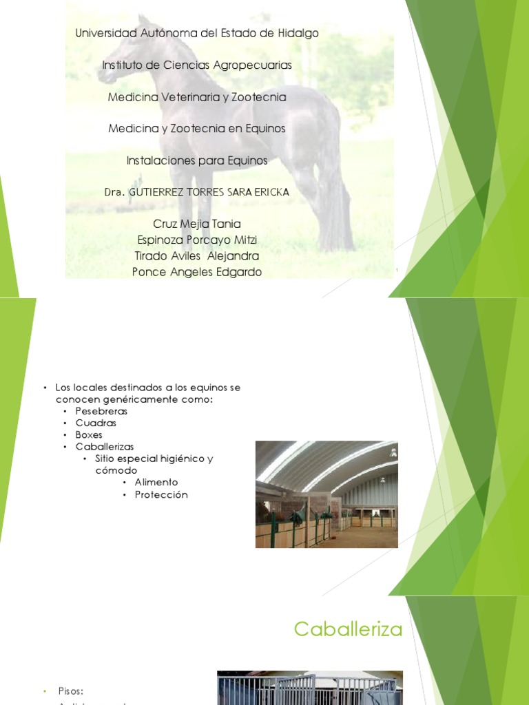 dise-o-de-instalaciones-para-equinos-pdf-caballos-agua