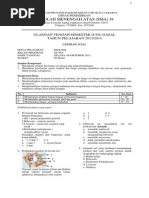 Contoh Contoh Soal Report Text Tentang Tumbuhan Kumpulan 