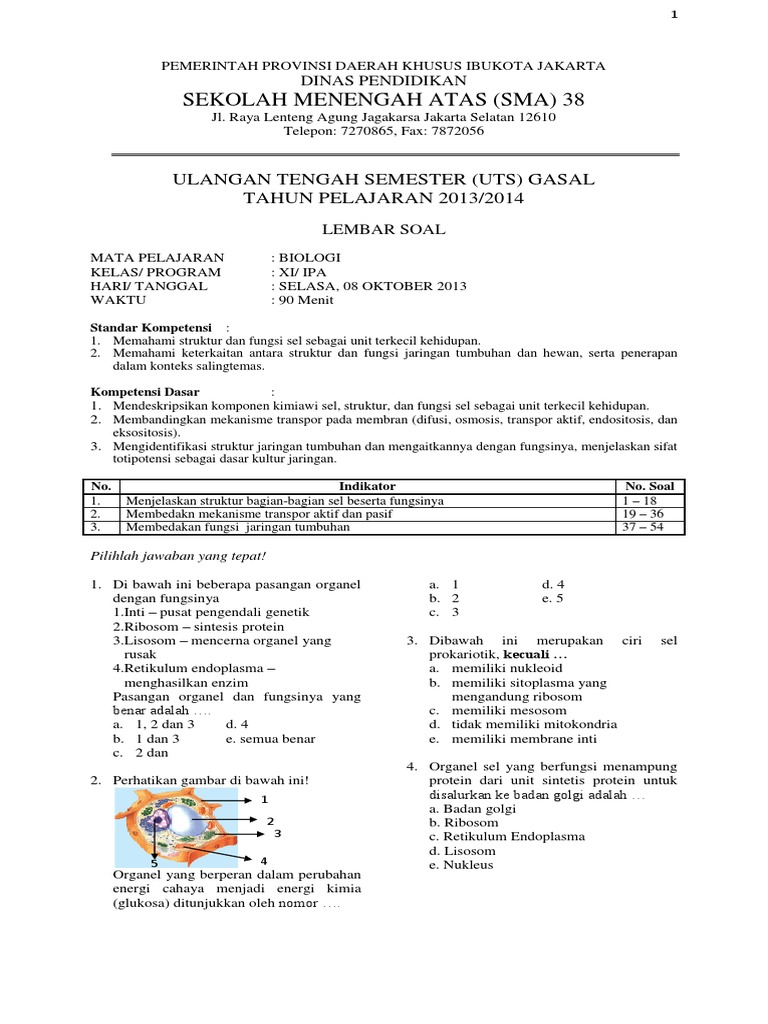 Contoh Soal  UTS SeL dan  Jaringan  Tumbuhan 