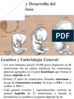 2) Embriología y Desarrollo del Sistema Nervioso