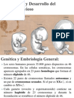 2) Embriología y Desarrollo Del Sistema Nervioso