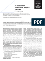 Rapid and Dynamic Intracellular Patterning of Cell-Internalized Magnetic Fluorescent Nanoparticles