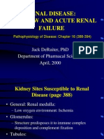 Renal Disease: Overview and Acute Renal Failure: Jack Deruiter, PHD Department of Pharmacal Sciences April, 2000