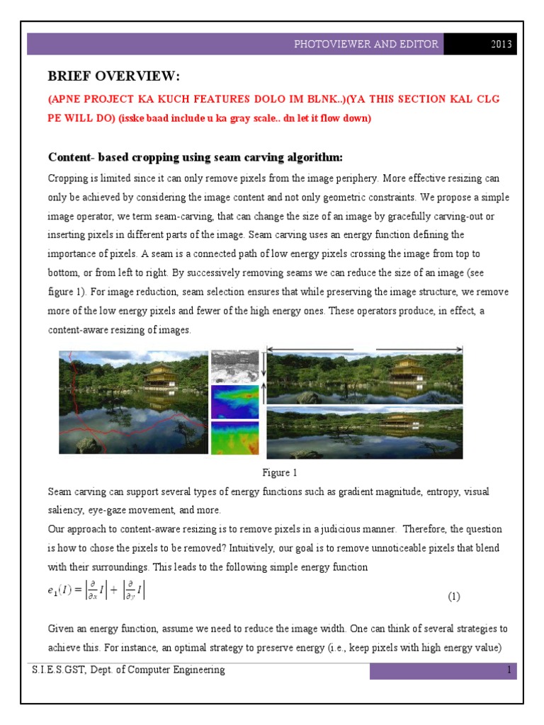 Seam Carving for Content-Aware Resizing | PDF