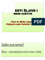 Bolesti Sljive PP Prezentacija - DR Mirko Ivanovic