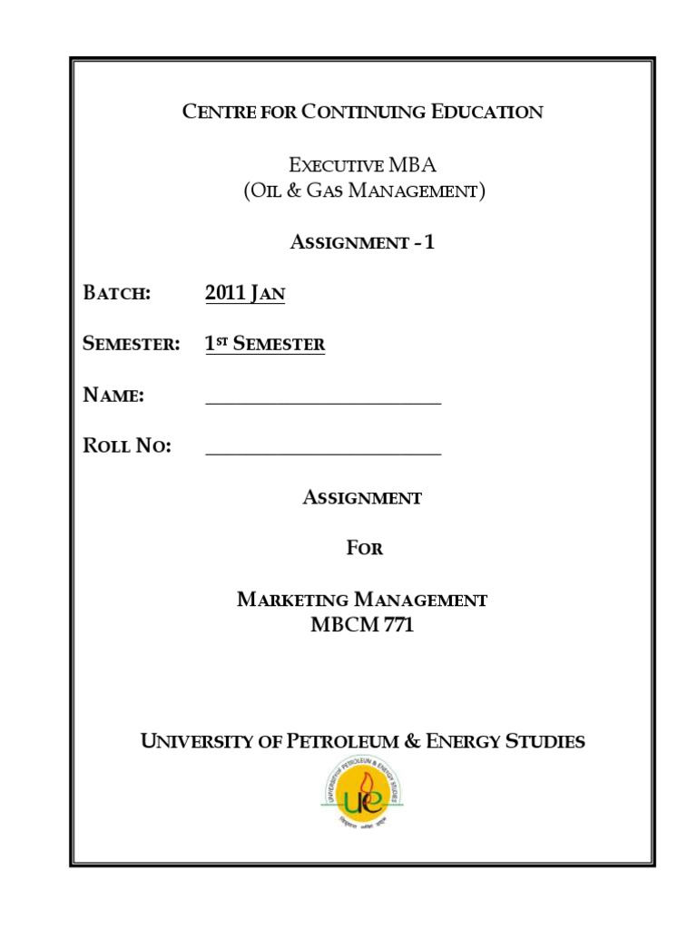 Executive MBA Marketing Management Assignment | PDF