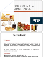 Introducción a la fermentación: procesos y aplicaciones