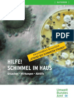 Schimmel im Haus