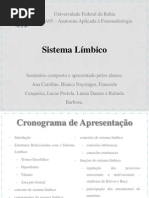 Anatomia Sistema Limbico