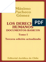 Derechos Humanos Documentos Básicos (Máximo Pacheco)