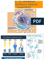 Membrana Fosfolipídica e Fomra Transportes