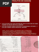 Electrolitos en Sangre