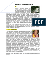 Paz Guerreira PDF