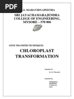 Download Chloroplast Transformation by Shuddhodana Muktha SN209309945 doc pdf