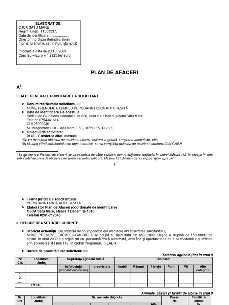 2_PLAN_de_AFACERI_pentru_Măsura_112_Exemplu