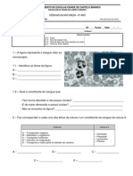 03 - Teste Sistema Circulatório + Excretor