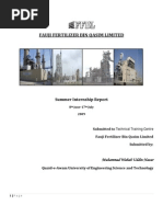 Download Ffbl Internship 2009 by WAHAB UDDIN NAZAR SN20933295 doc pdf