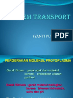 Sistem Transport