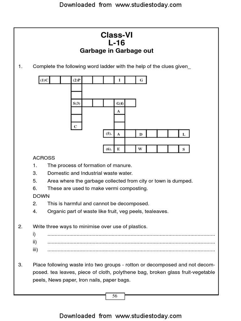 CBSE Class 6 Garbage in Garbage Out Worksheet PDF