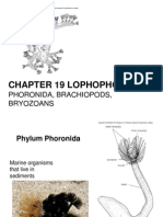 19Lophophorates