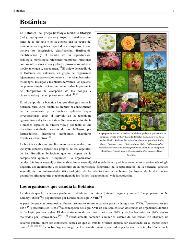 Botanica | PDF | Botánica | Horticultura y jardinería