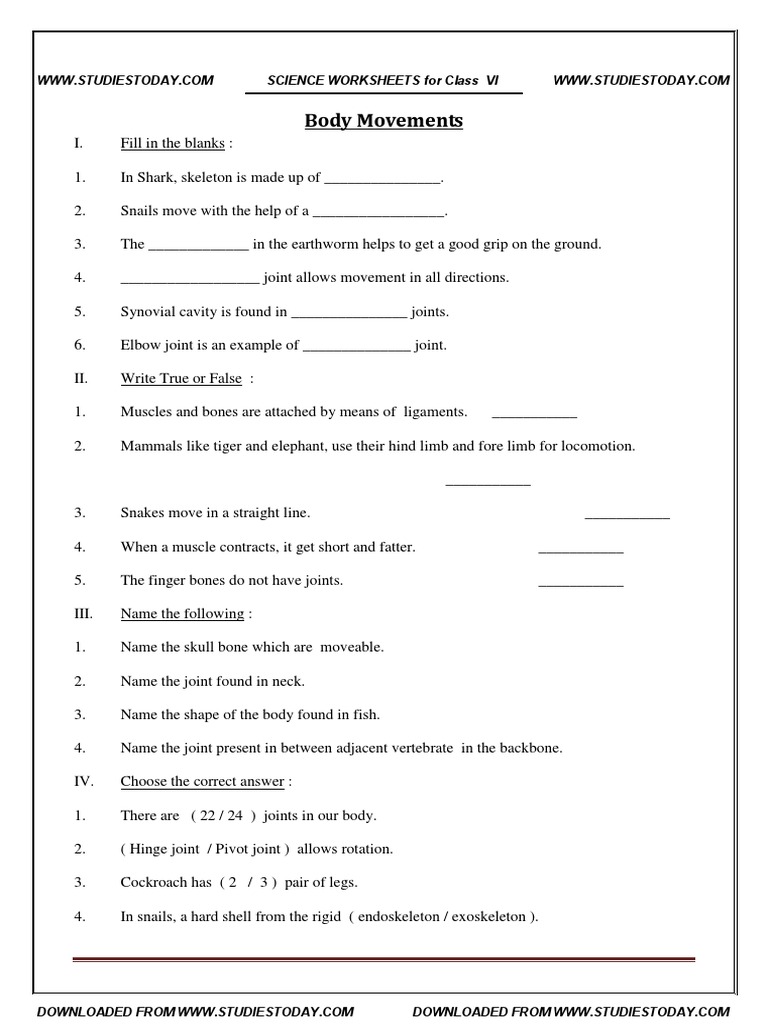 Worksheets Joints And Movement Worksheet cbse class 6 worksheet body movements