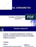 conjunctiv_1