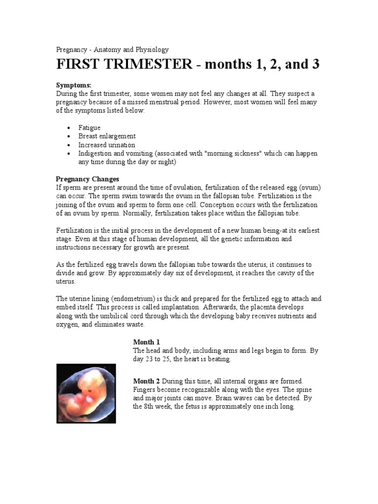 Anatomy intelligence overview