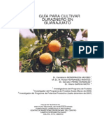 Manual Durazno 2007 (1)