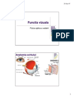 Functia Vizuala Anatomia Vederii