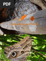 2 Ano Aula 1 Classificacao Sistematica e Cladistica