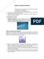 Informe N º 4