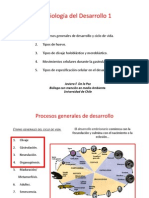 4 Clivaje Desarrollo Determinado e Indet