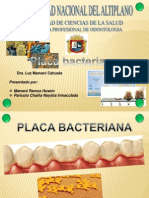 Placa Bacteriana Corregido