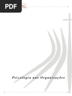 Psicologia Organizacoes