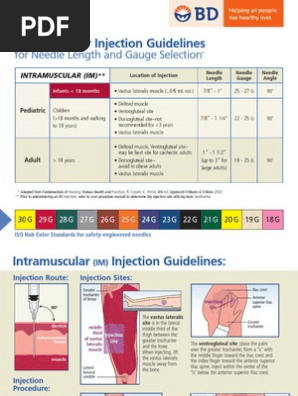 Intramuscular Injection Guidelines Injection Medicine Limbs Anatomy